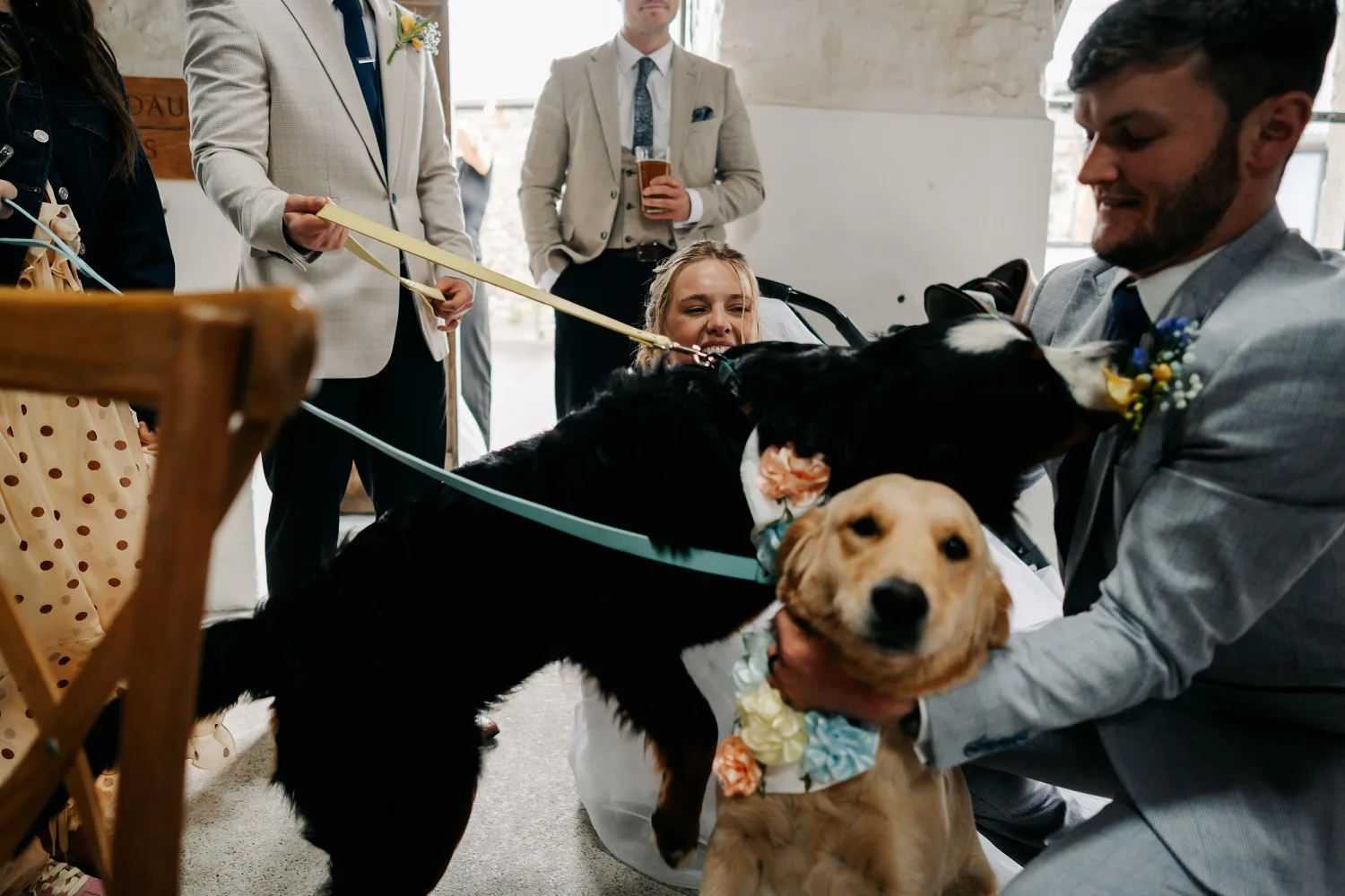 Cardeeth Wedding Pembrokeshire