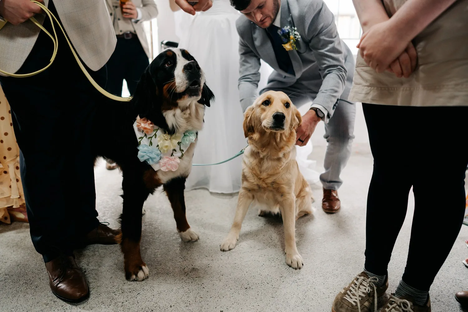 Cardeeth Wedding Pembrokeshire