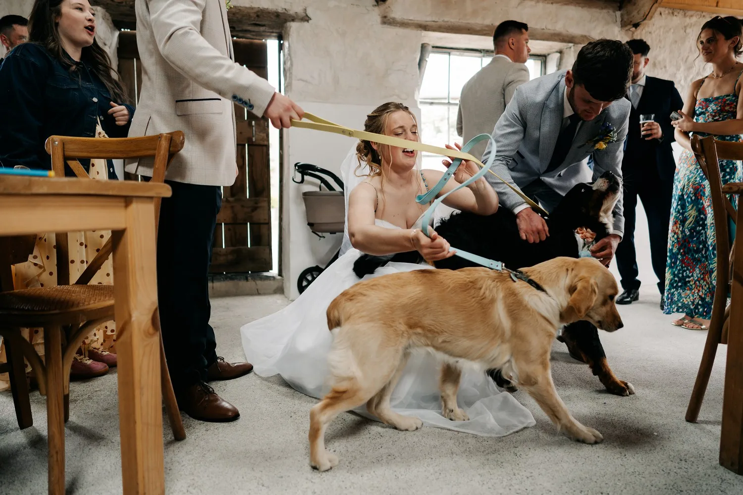 Cardeeth Wedding Pembrokeshire